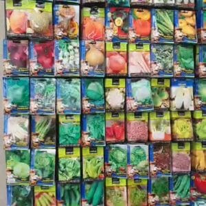 500146231 688513543936952 1668490261348179185 n