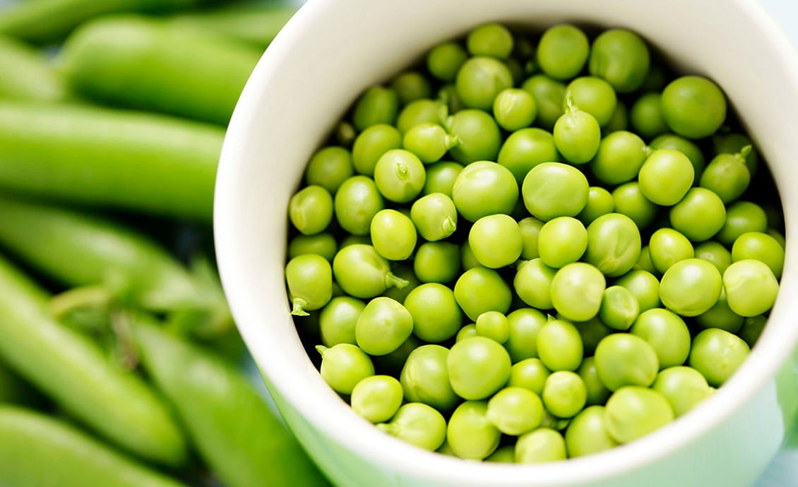 20201023 amor guisante epoca siembra