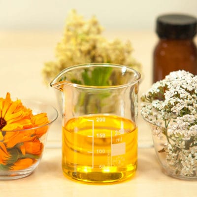 ricardo_teran_calendula_03