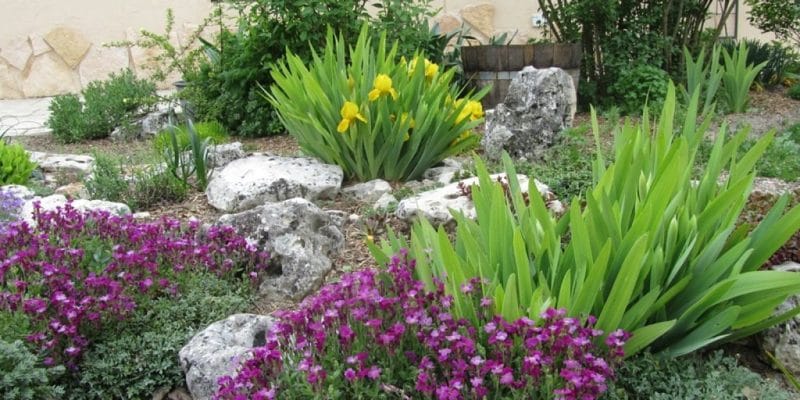 20201106_consejos-huerta-jardin-terraza-noviembre_2