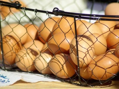 20201126_gallinero-clave-bienestar-gallinas_5