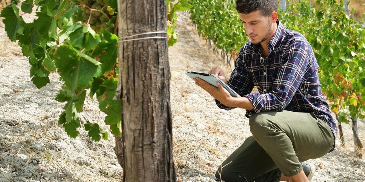 20201224_enmienda-caliza-fertilizacion-vinedos_03