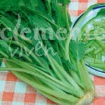 BORRAJA FLOR BLANCA CLASICO