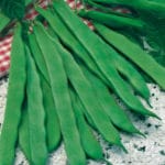 JUDIA EXLATEM 80 GRS