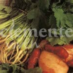 NABO SANTIAGO 250 GR