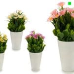 MACETA BLANCA MARGARITA ROSA