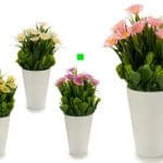 MACETA BLANCA MARGARITA FUXIA