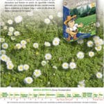 CESPED JAPONES 1 KILO