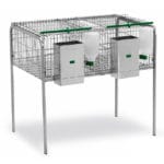 JAULA SEGURA 2 ENGORDES