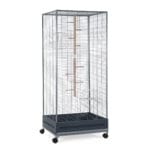 JAULA VOLTREGA ARDILLA 209 G