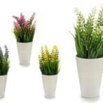 MACETA BLANCA FLOR AZUL