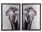 CUADRO ELEFANTE 2 P. 77x1,5x107