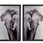 CUADRO ELEFANTE 2 P. 77x1,5x107