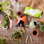 TOALLITAS EARTH LAVANDA 100 UD. - Imagen 9