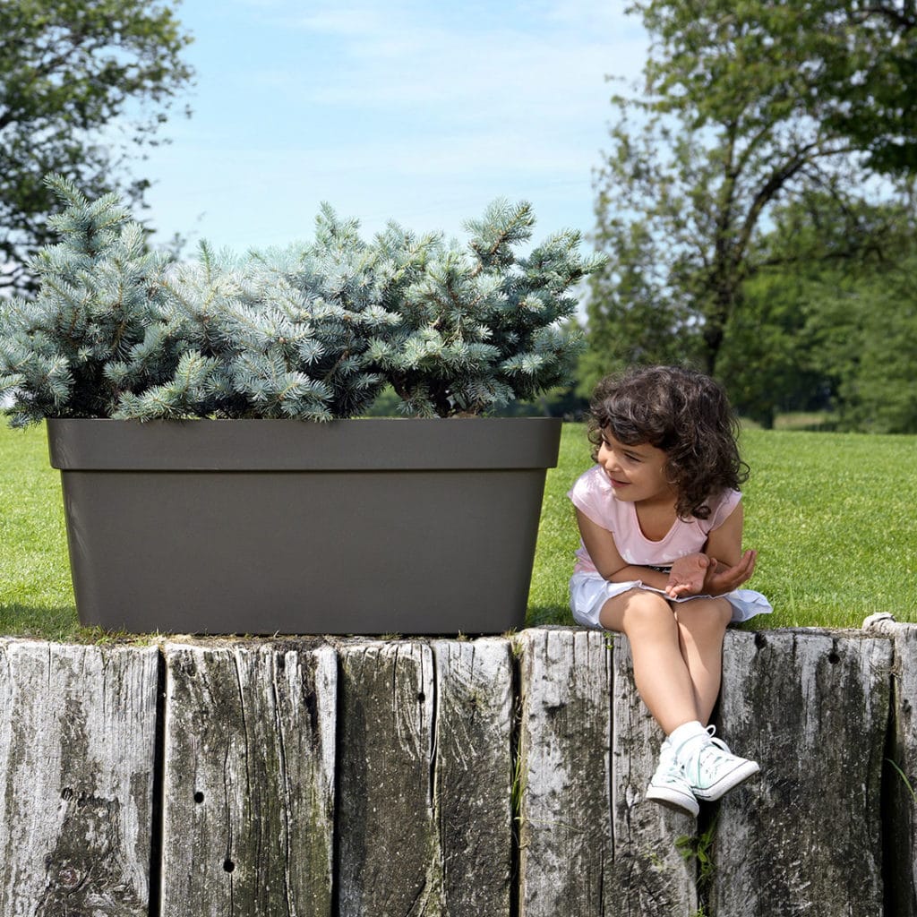 CLEO QUADRATO E FIORIERA ANT