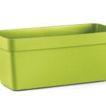 FIORIERA CLEO 60 V. ANICE