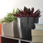 VASO LIVING 17 CM. MALVA - Imagen 3