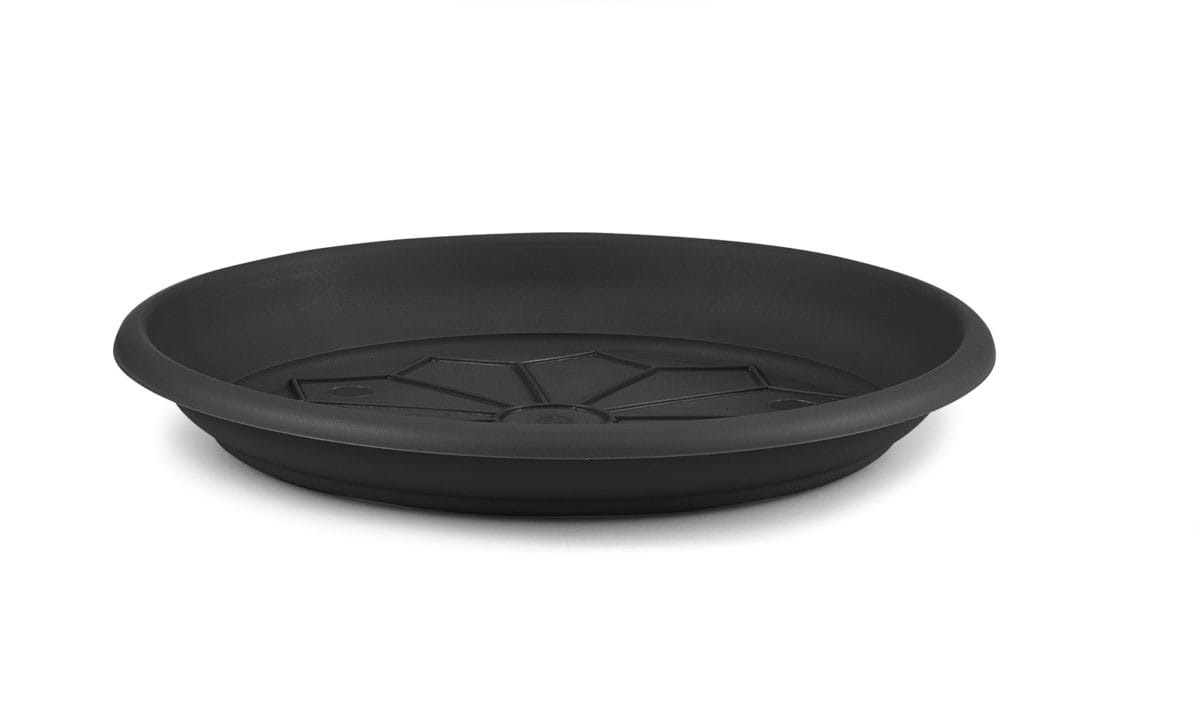 PLATO ANT. NAXOS 16 CM. - Imagen 1