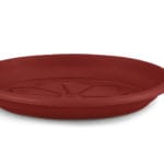 PLATO R.M. NAXOS 24 CM.