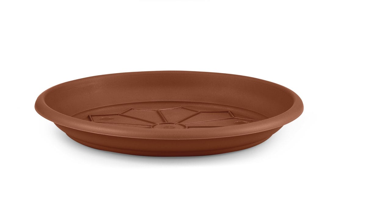 PLATO M. NAXOS 18 CM. - Imagen 1