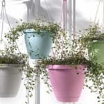 VASO ROSA P. PENSILE 20 CM - Imagen 3