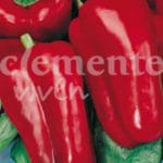 PIMIENTO DULCE ESPAÑA