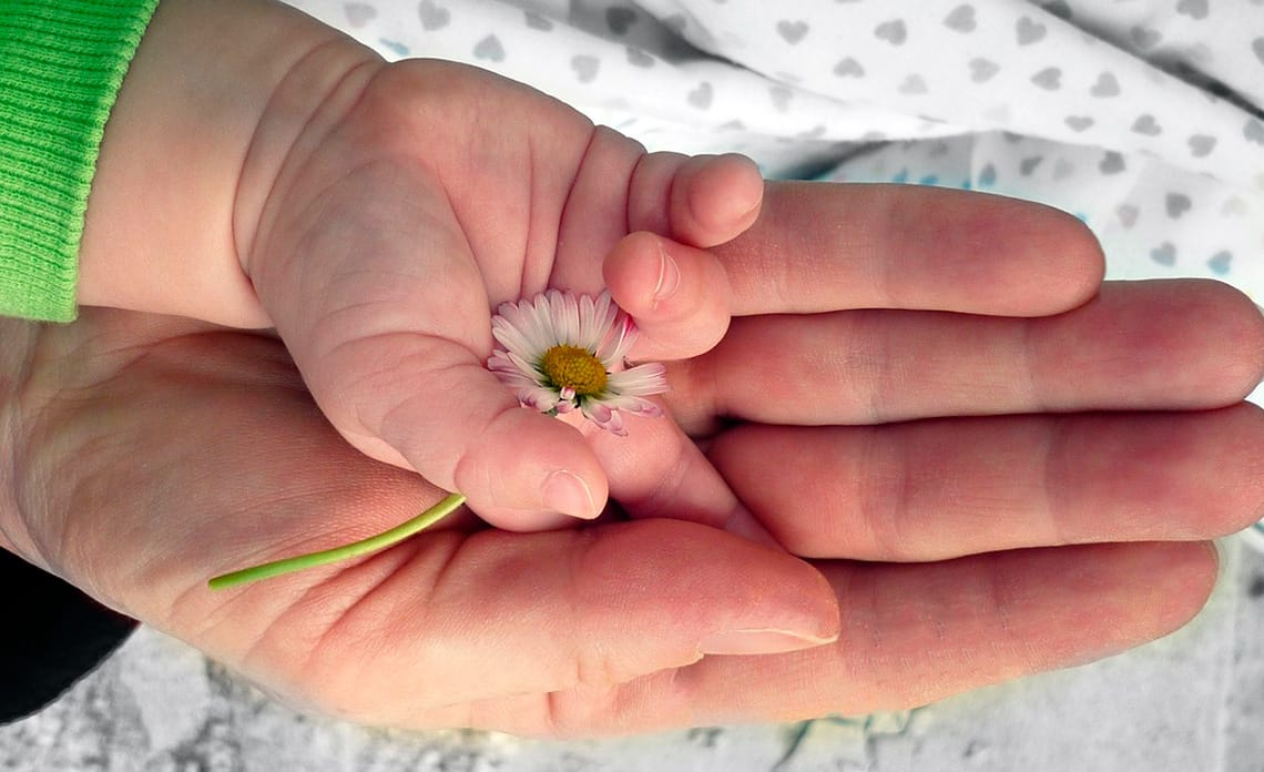 20210317 flores dia padre regalo original