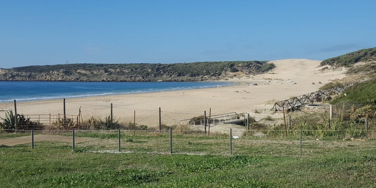 20210326_suenas-mejor-cesped-jardin5