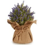 LAVANDA SACO 23X28 CM
