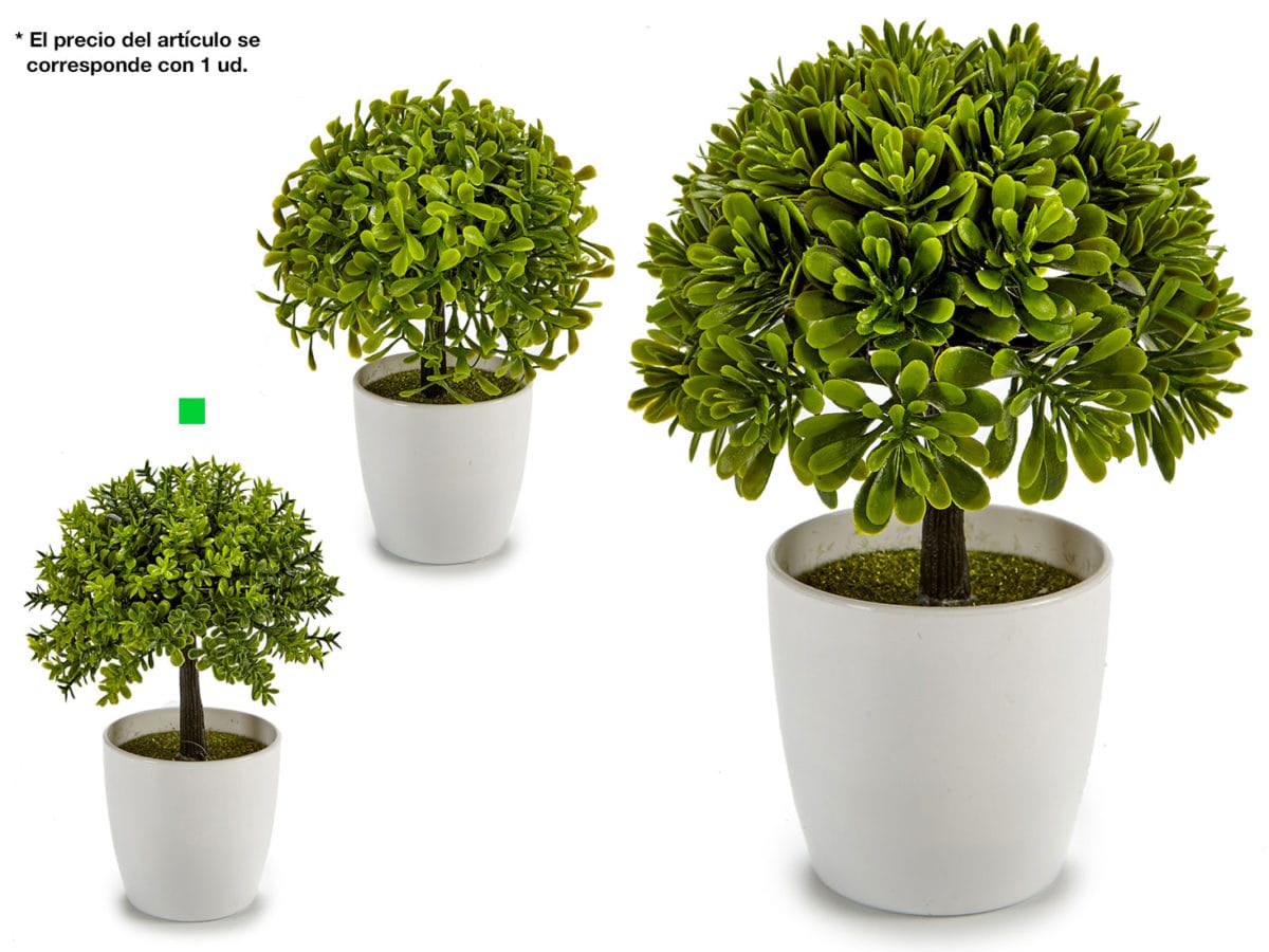 ARBOL PEQ. HOJA PEQUEÑA - Imagen 1