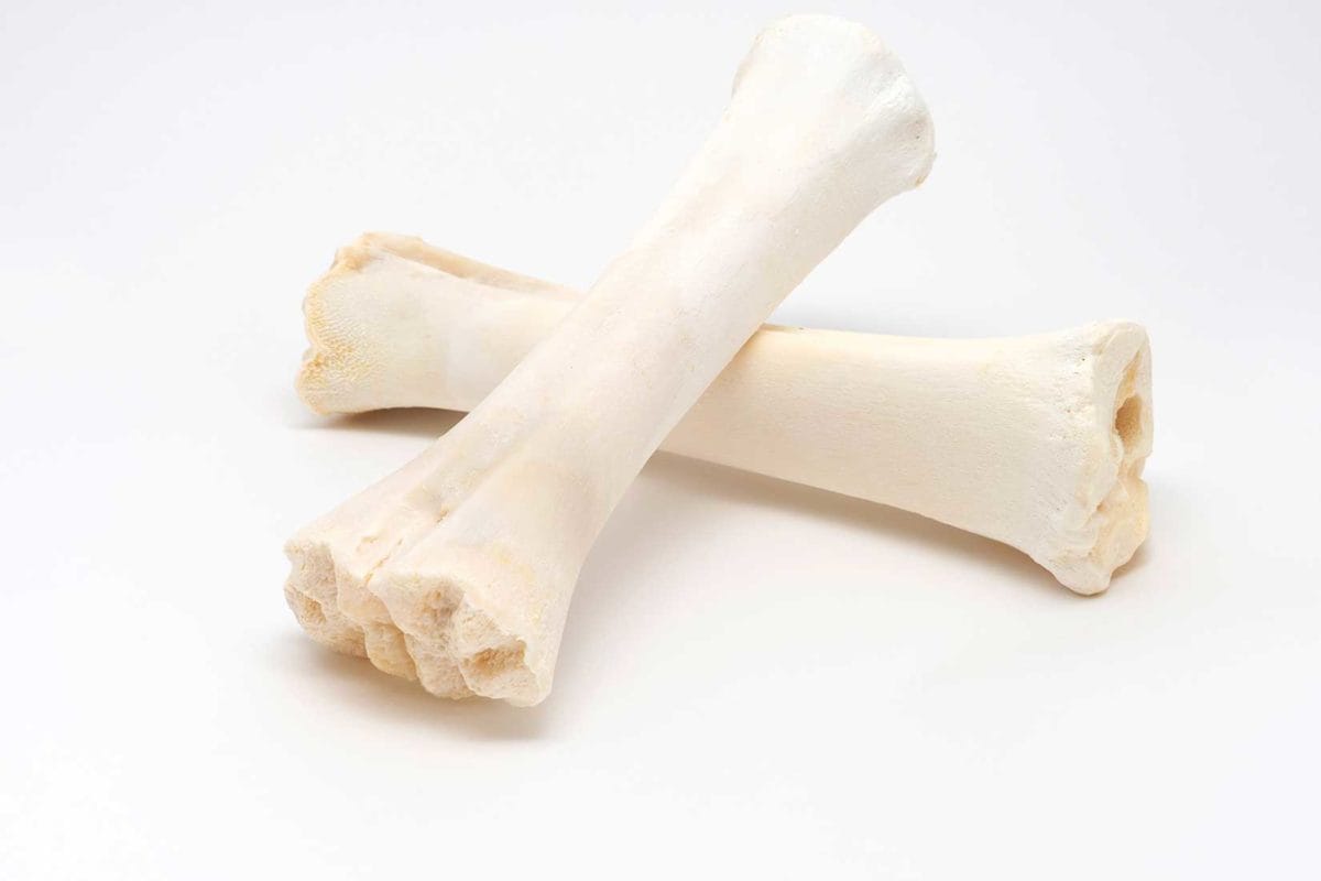 HUESO CALCIO - Imagen 2