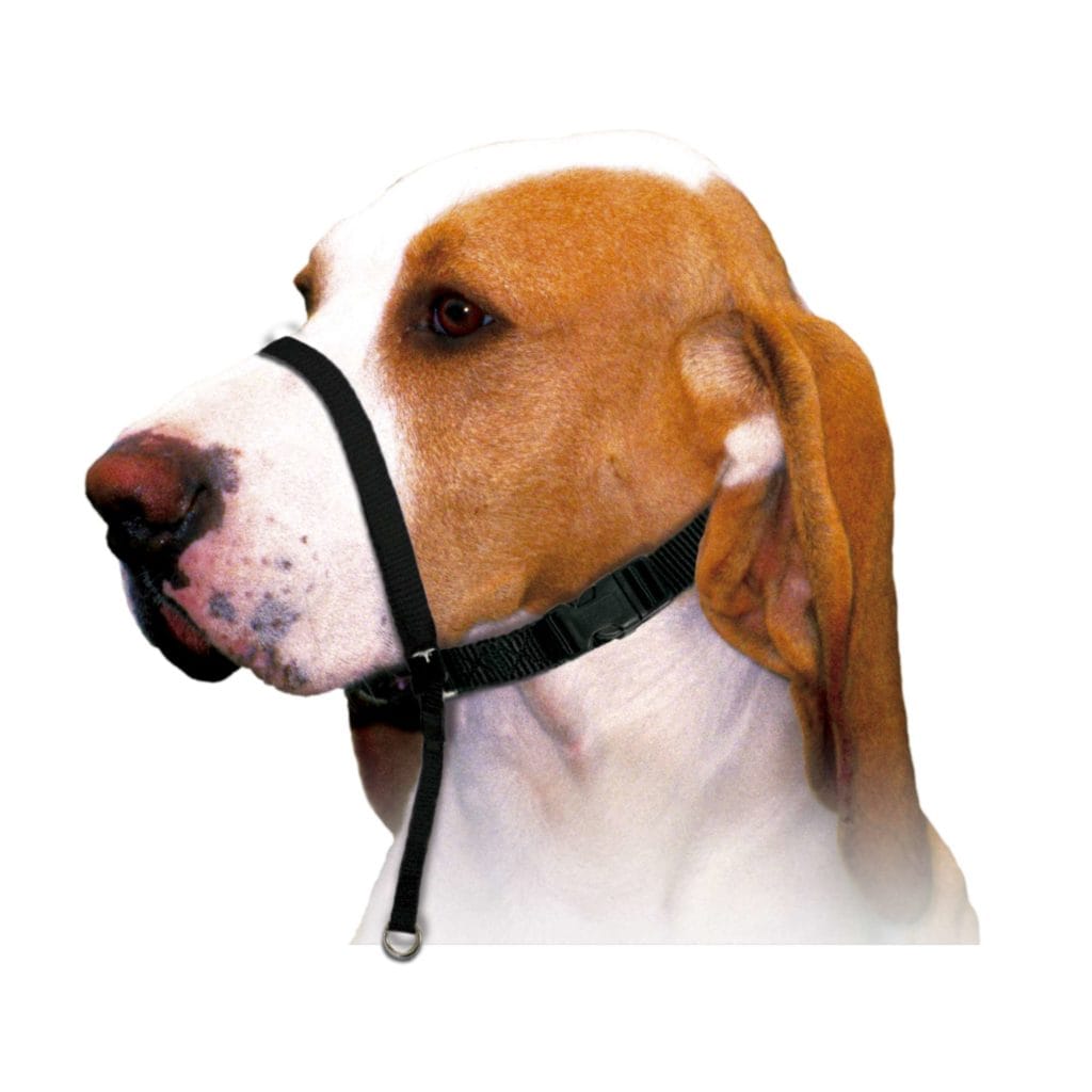 DB921 bozal de nylon de adiestramiento general 1087