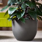 VASO EGGY 65 CM R. O. - Imagen 2
