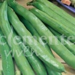 HABA AGUADULCE 250 GRS.