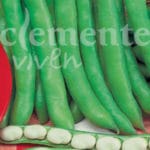 HABA MUCHAMIEL 250 GR