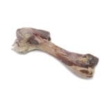 HUESO DE JAMON AL VACIO