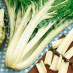 ACELGA AMARILLA CLASICO