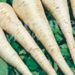 CHIRIVIA LARGA  CLASICO