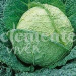 COL MILAN AUVERVILLERS