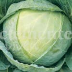 COL BRUNSWICK CLASICO