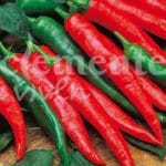 GUINDILLA LARGA CAYENNE CLASICO