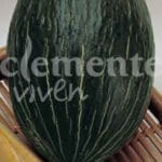 MELON TENDRAL VERDE CLASICO