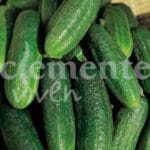 PEPINILLO CORNICHON CLASICO