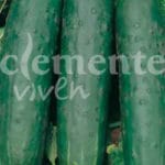 PEPINO MARKETMORE CLASICO