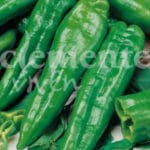 PIMIENTO DULCE ITALIANO