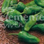 PIMIENTO PADRON CLASICO