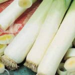 PUERRO MONSTRUOSO CARETAN