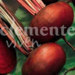 REMOLACHA MESA PLATO EGIPTO