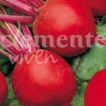 REMOLACHA DETROIT CLASICO