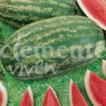 SANDIA KLONDIKE RS57 CLASICA